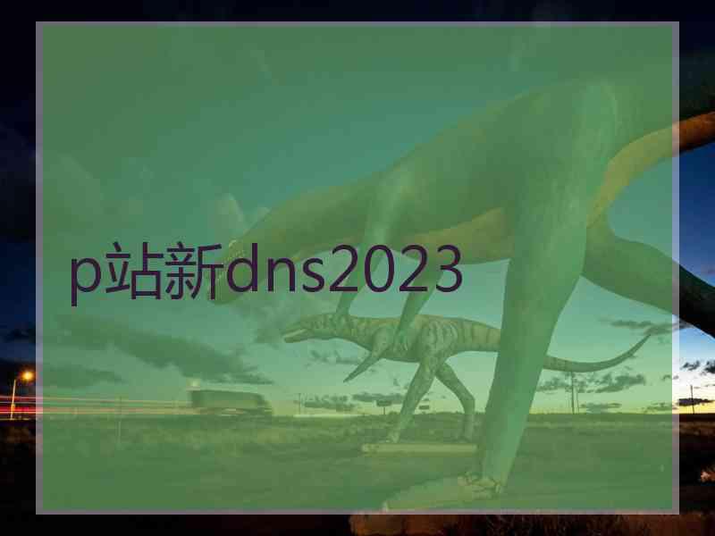 p站新dns2023
