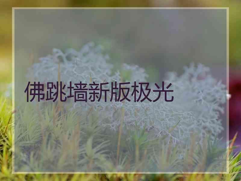 佛跳墙新版极光