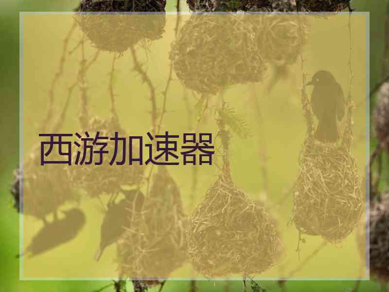 西游加速器