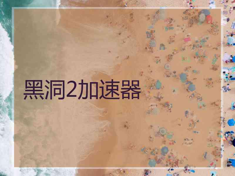 黑洞2加速器