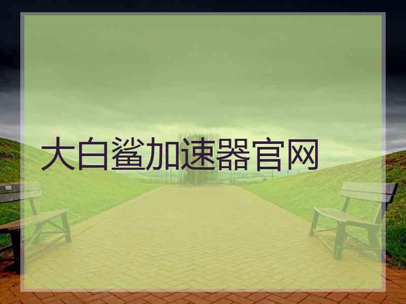 大白鲨加速器官网
