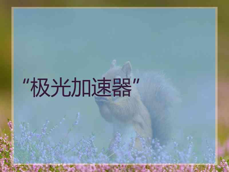 “极光加速器”