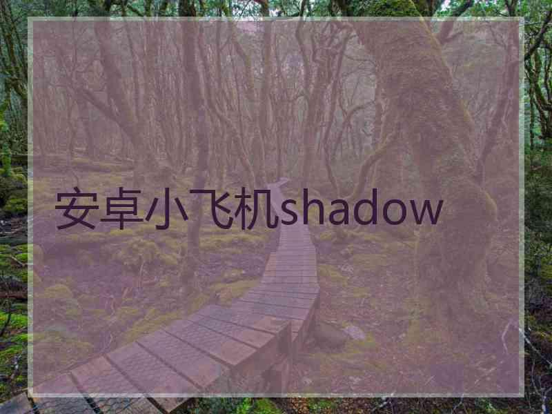 安卓小飞机shadow