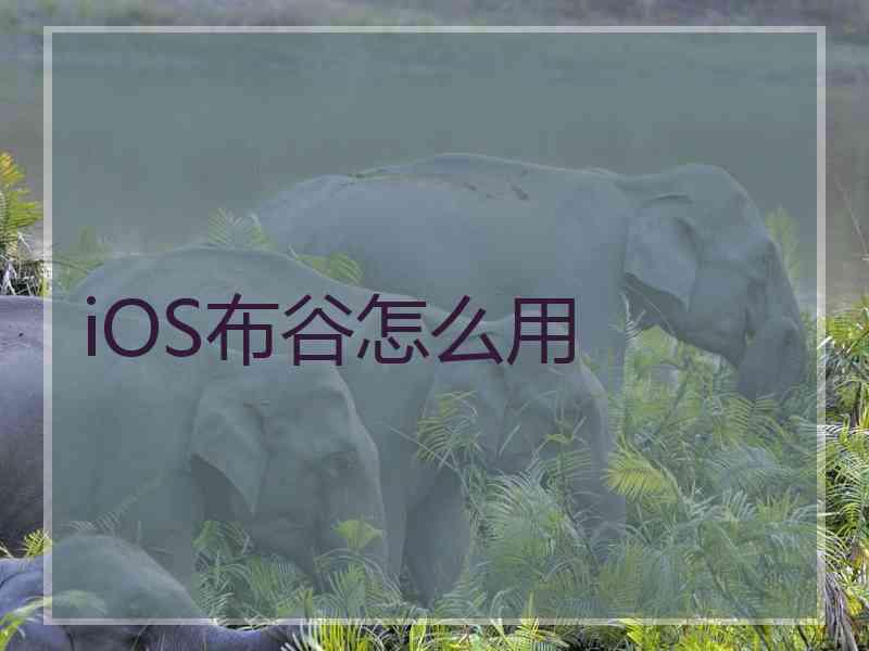 iOS布谷怎么用