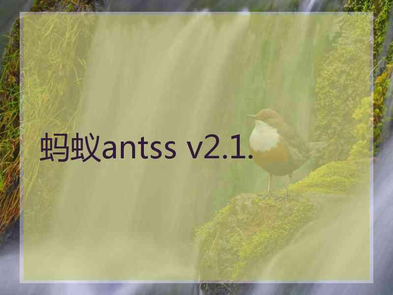 蚂蚁antss v2.1.
