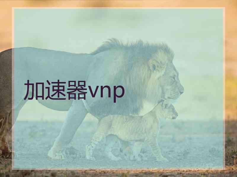 加速器vnp
