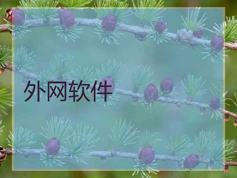 外网软件