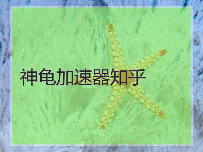 神龟加速器知乎