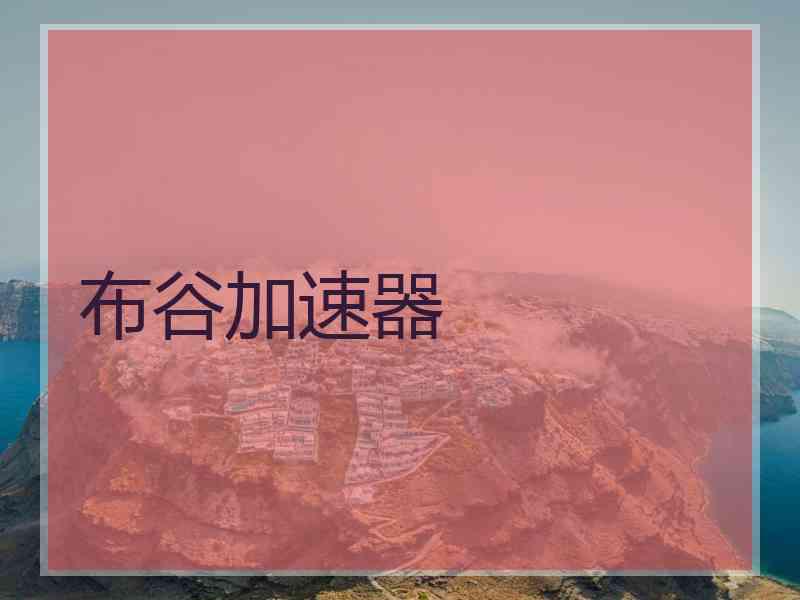 布谷加速器