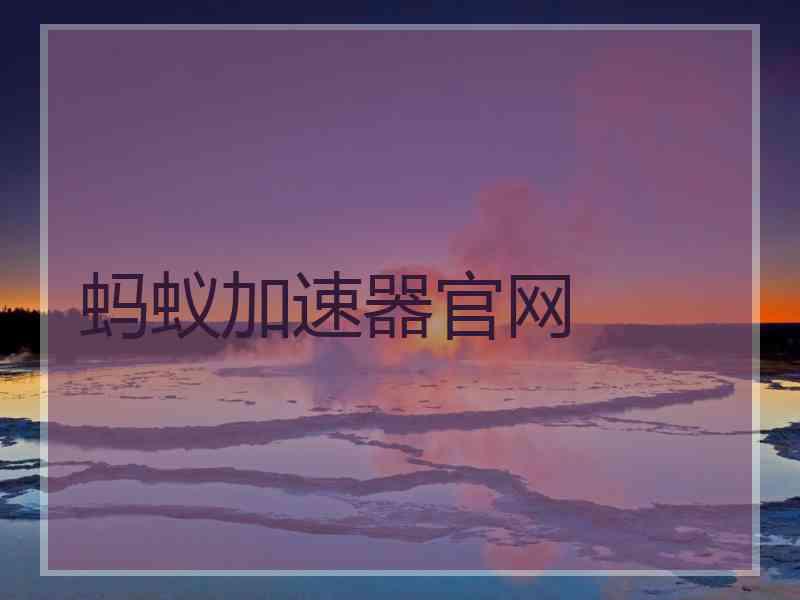 蚂蚁加速器官网