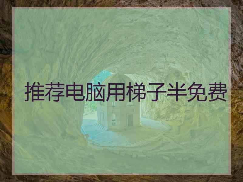推荐电脑用梯子半免费