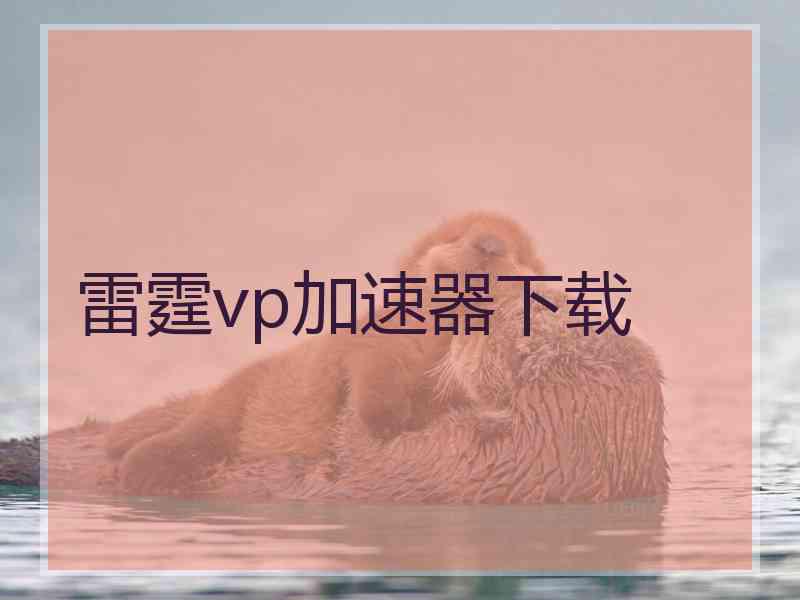 雷霆vp加速器下载