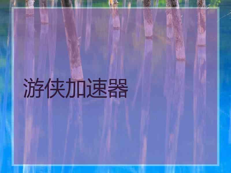 游侠加速器