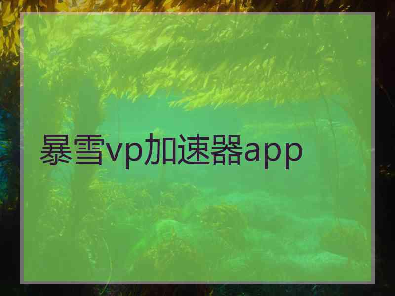 暴雪vp加速器app
