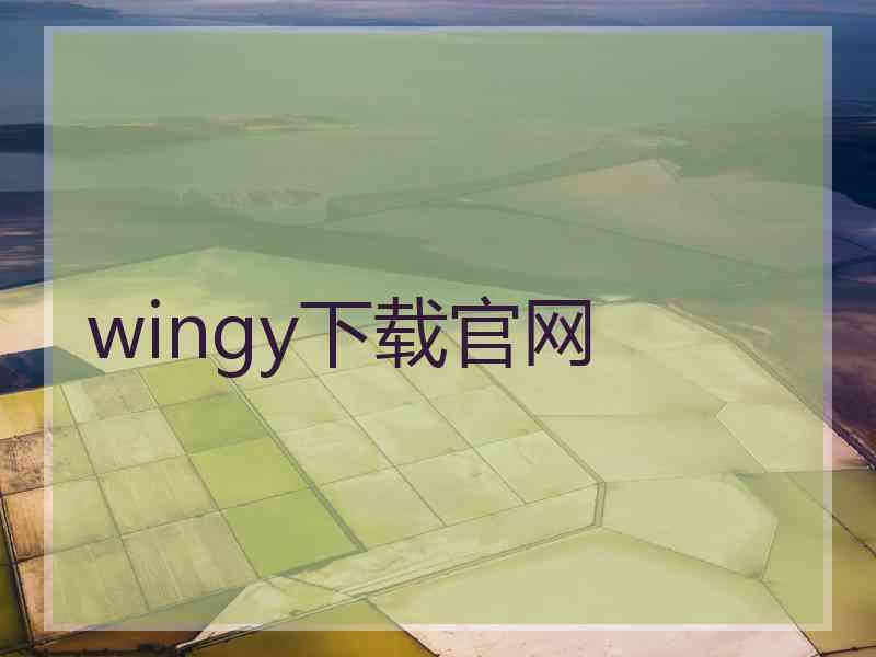 wingy下载官网