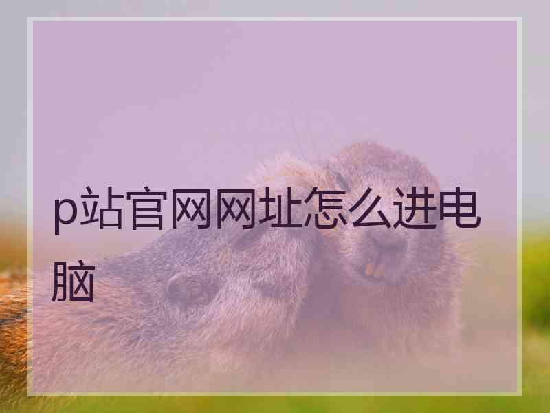 p站官网网址怎么进电脑