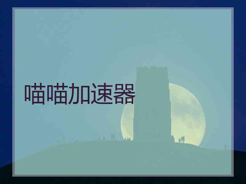 喵喵加速器