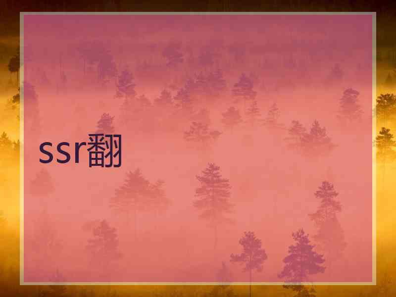 ssr翻
