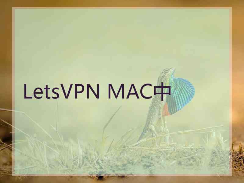 LetsVPN MAC中