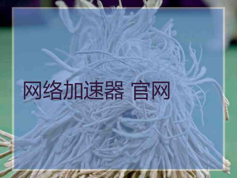 网络加速器 官网