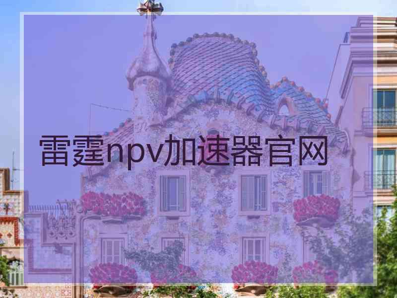雷霆npv加速器官网