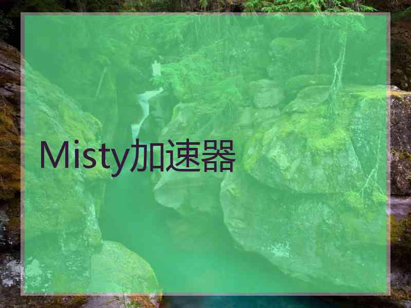 Misty加速器