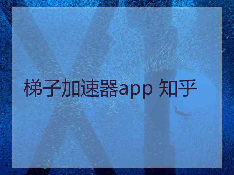 梯子加速器app 知乎