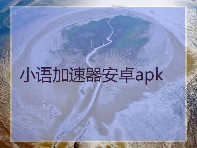 小语加速器安卓apk