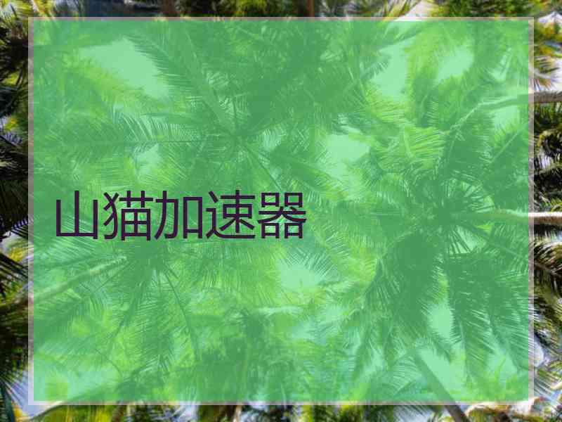山猫加速器