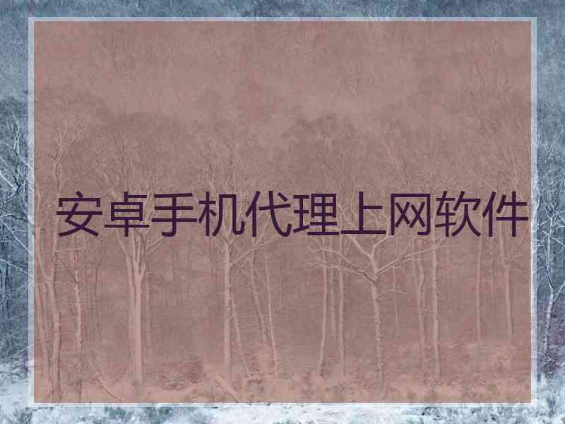 安卓手机代理上网软件