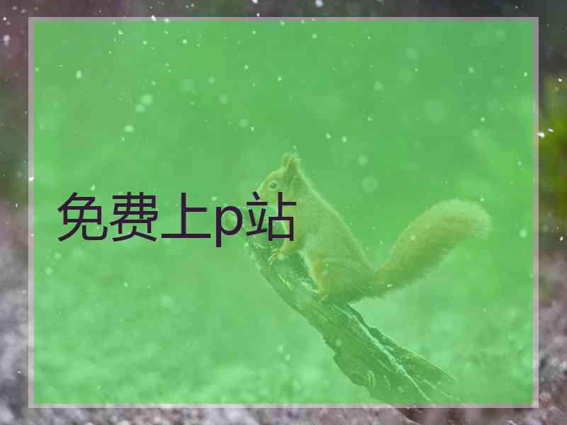 免费上p站