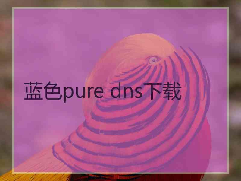 蓝色pure dns下载