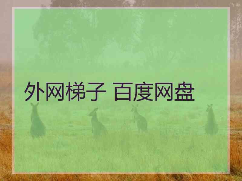 外网梯子 百度网盘