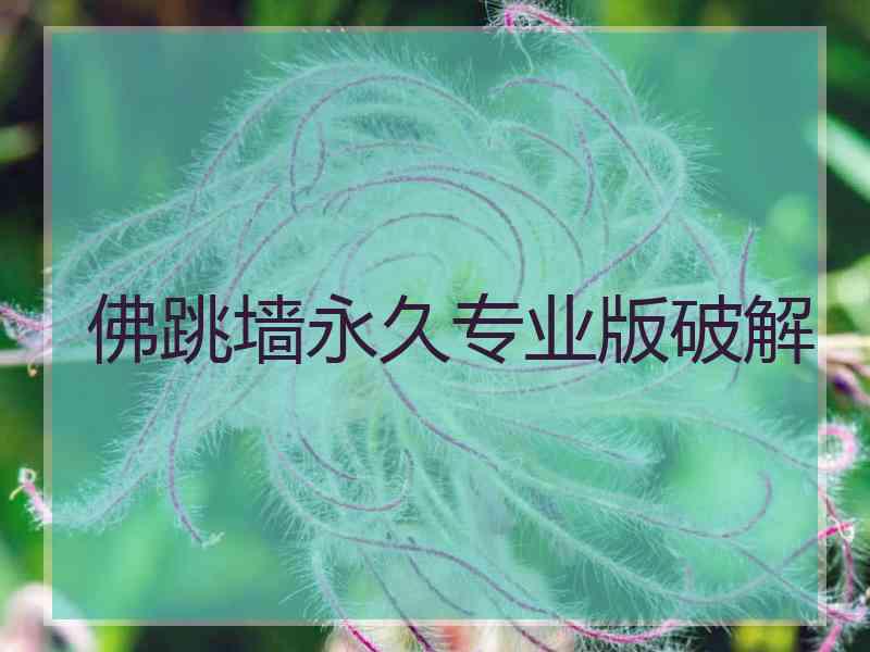 佛跳墙永久专业版破解