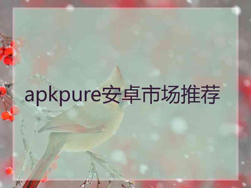 apkpure安卓市场推荐