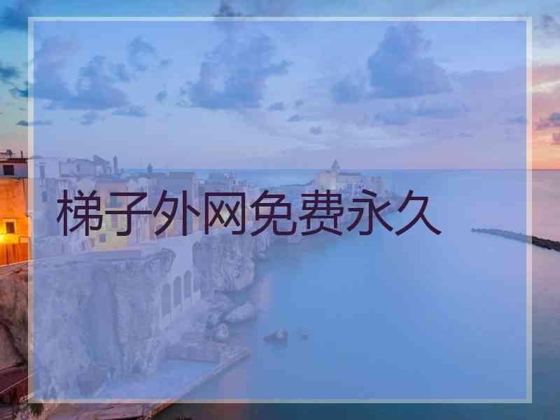 梯子外网免费永久