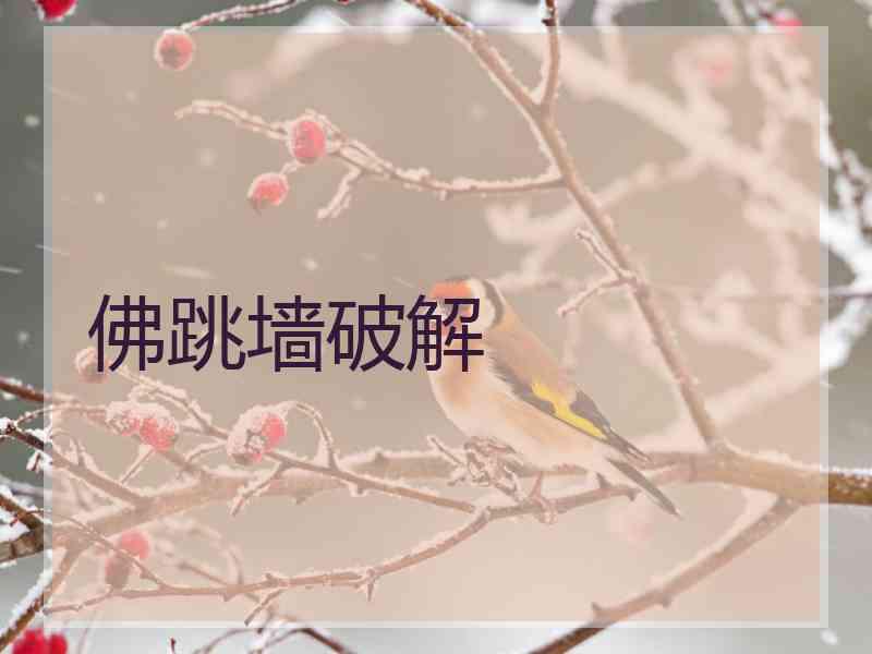 佛跳墙破解