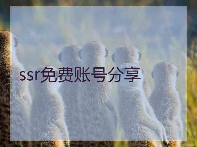 ssr免费账号分享