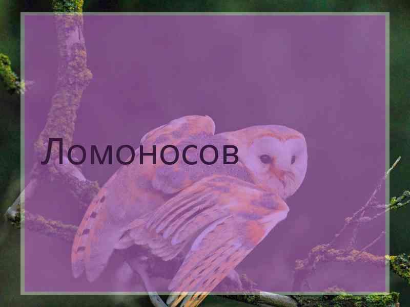 Ломоносов