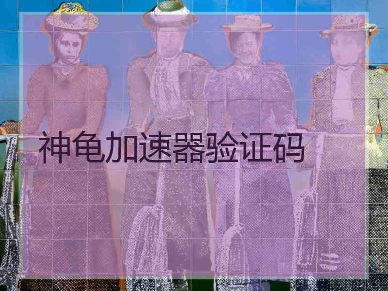 神龟加速器验证码