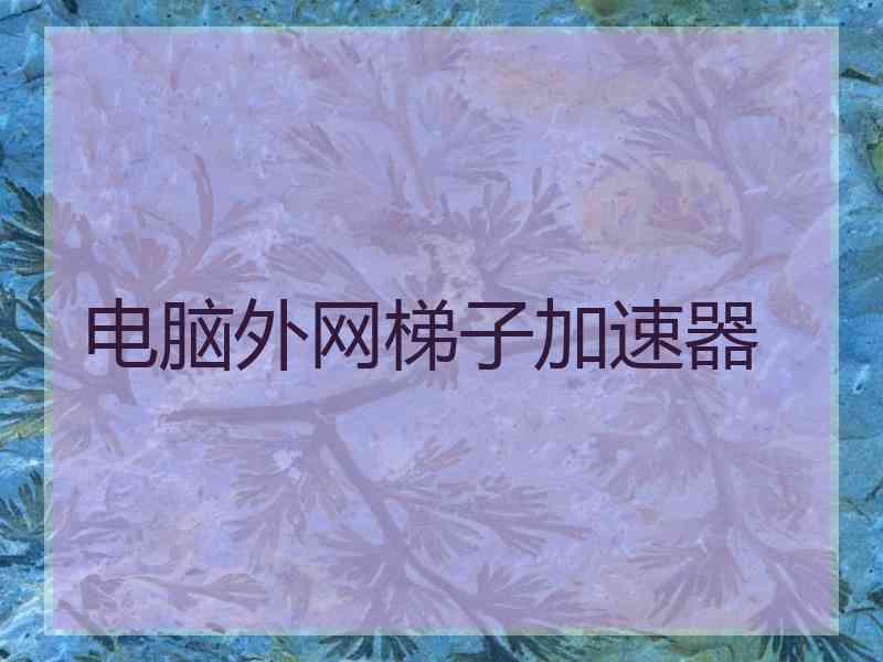 电脑外网梯子加速器