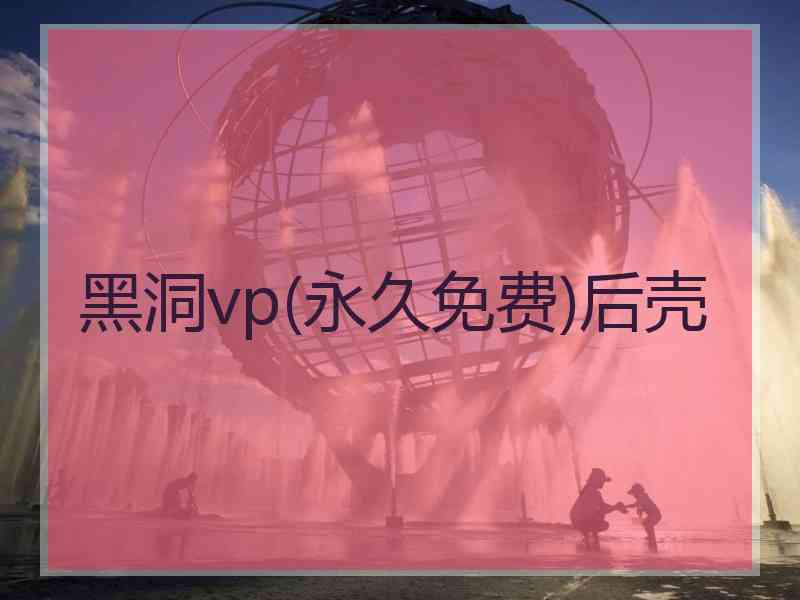 黑洞vp(永久免费)后壳