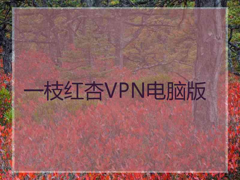 一枝红杏VPN电脑版