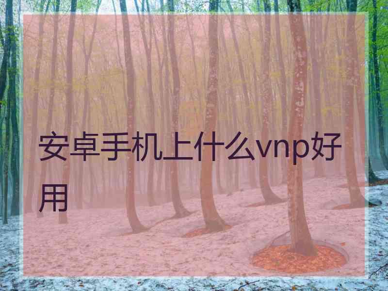 安卓手机上什么vnp好用