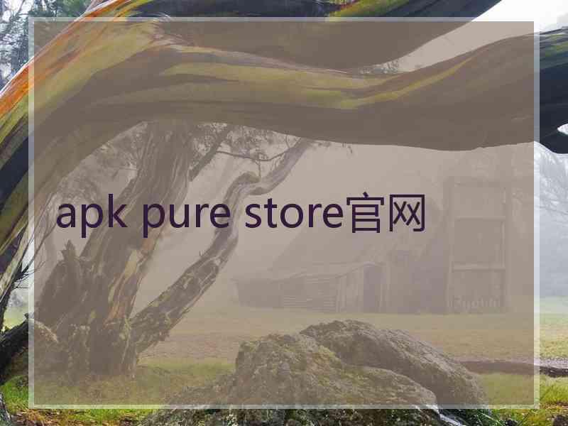 apk pure store官网