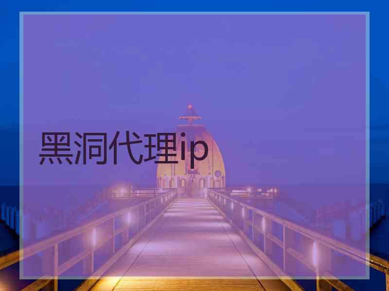 黑洞代理ip