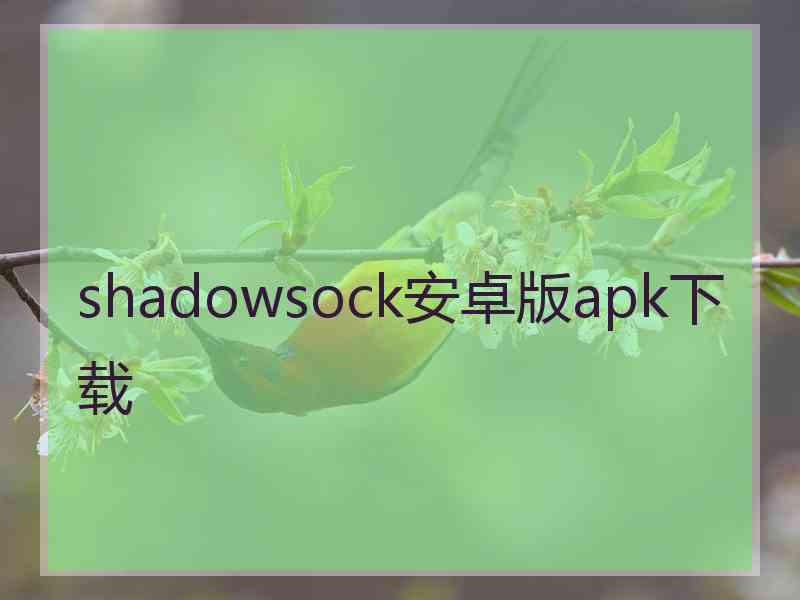 shadowsock安卓版apk下载
