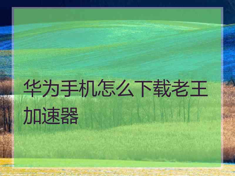 华为手机怎么下载老王加速器