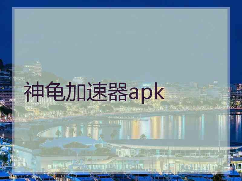 神龟加速器apk