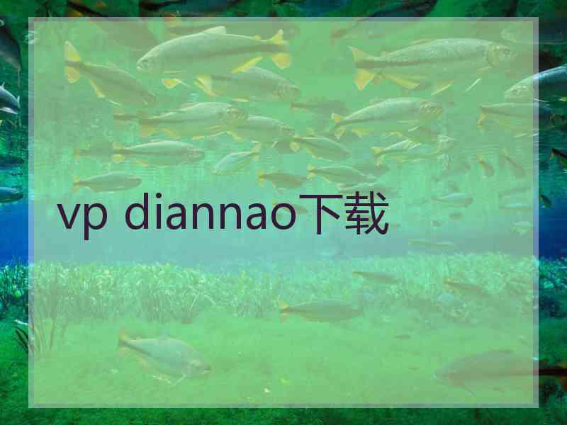 vp diannao下载